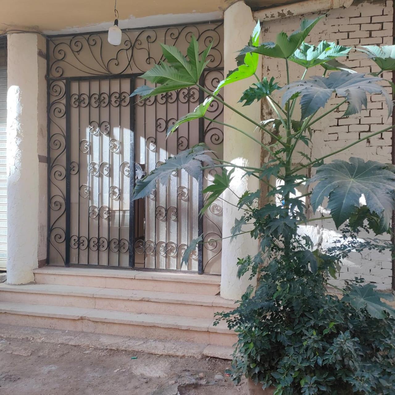 Apartament 3