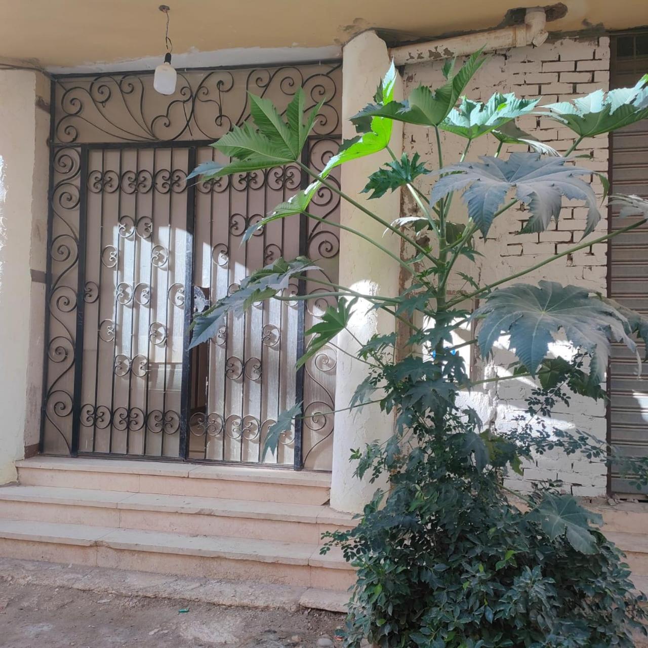 3 Apartament